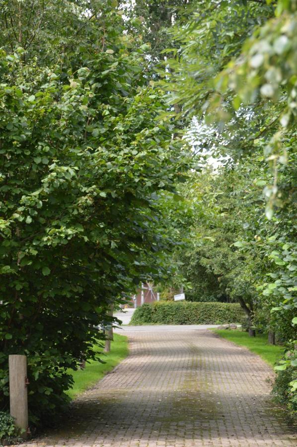 Bij Ons Op 20 Bed & Breakfast Nijeveen Eksteriør bilde